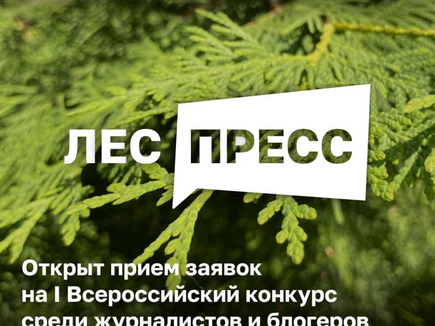 Рослесхоз запускает I Всероссийский конкурс среди журналистов и блогеров «ЛЕС-ПРЕСС»